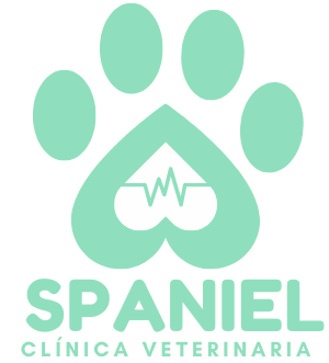 Logo cliente menor